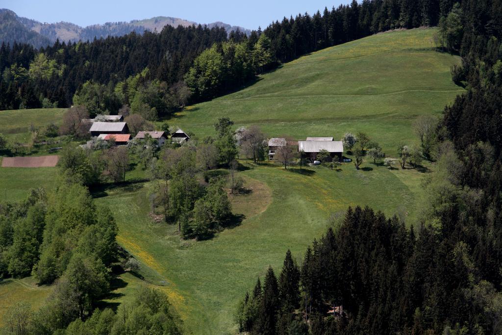 Farmstay Hisa Pecovnik Luce Exterior photo